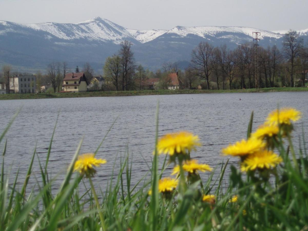 Agroturystyka Aura Kostrzyca Extérieur photo