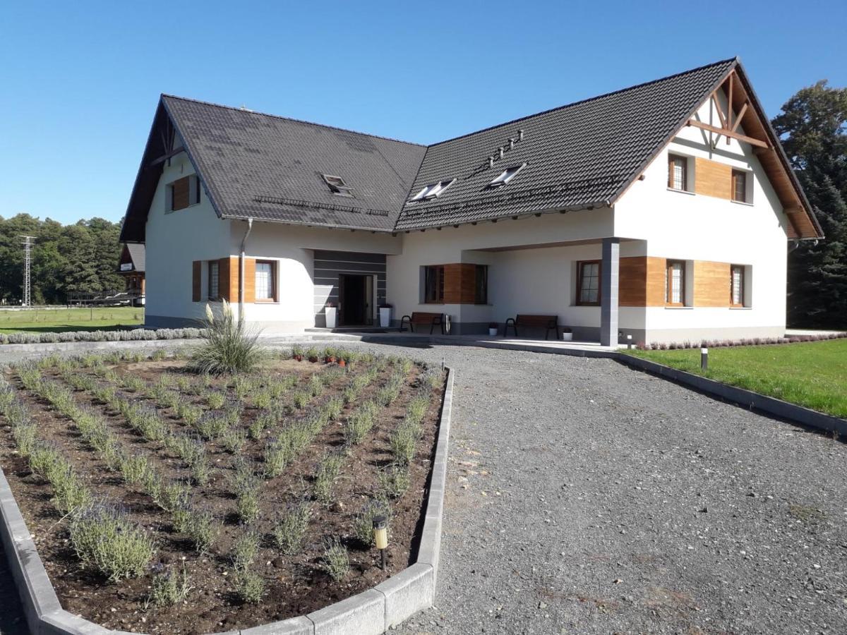 Agroturystyka Aura Kostrzyca Extérieur photo