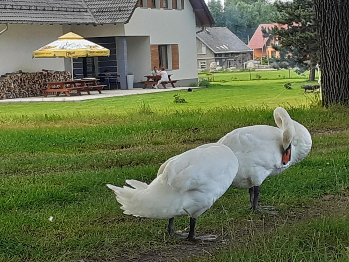 Agroturystyka Aura Kostrzyca Extérieur photo