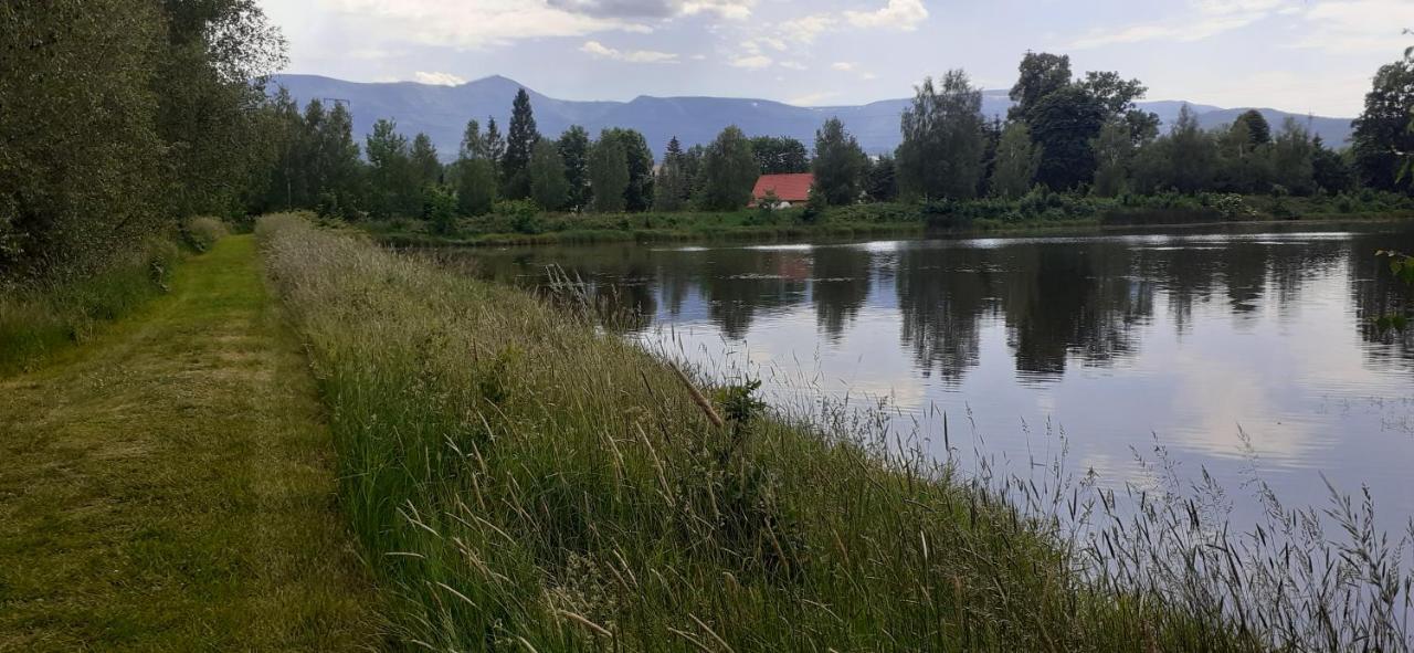 Agroturystyka Aura Kostrzyca Extérieur photo