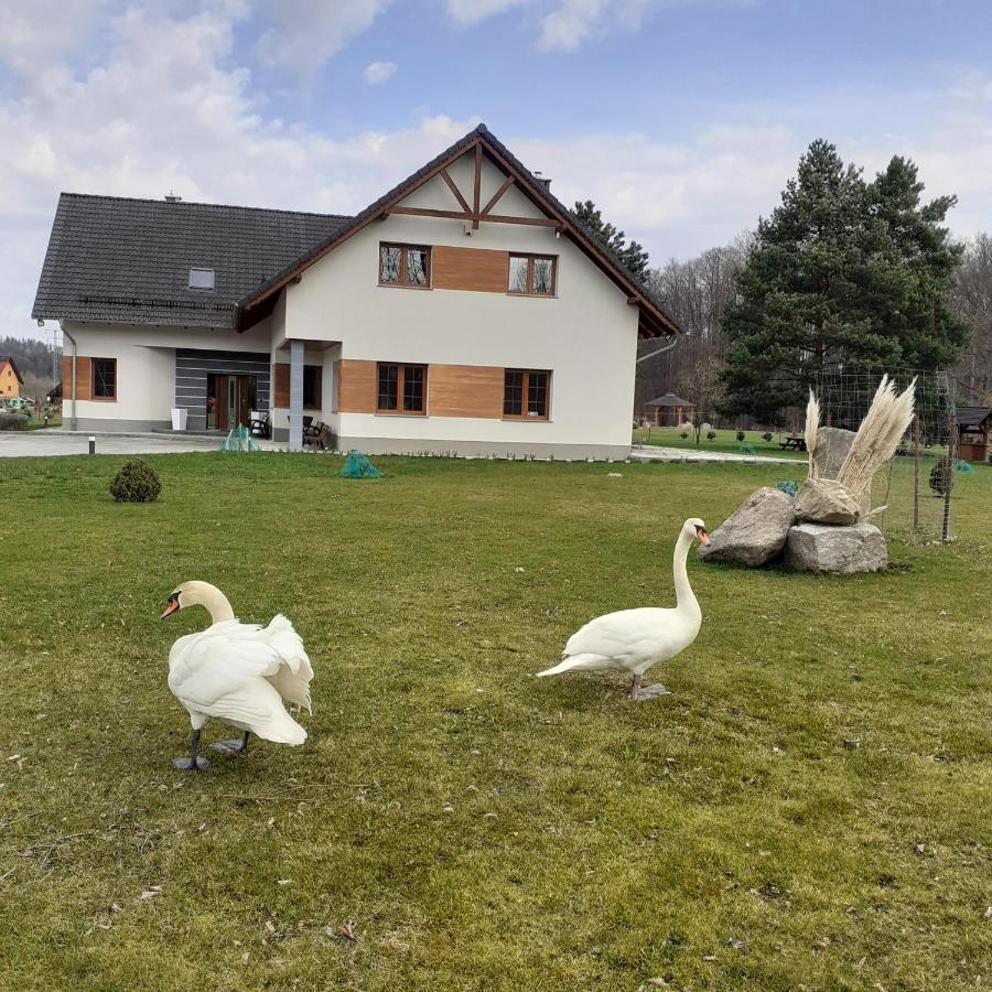 Agroturystyka Aura Kostrzyca Extérieur photo