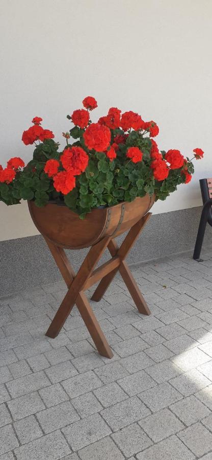 Agroturystyka Aura Kostrzyca Extérieur photo