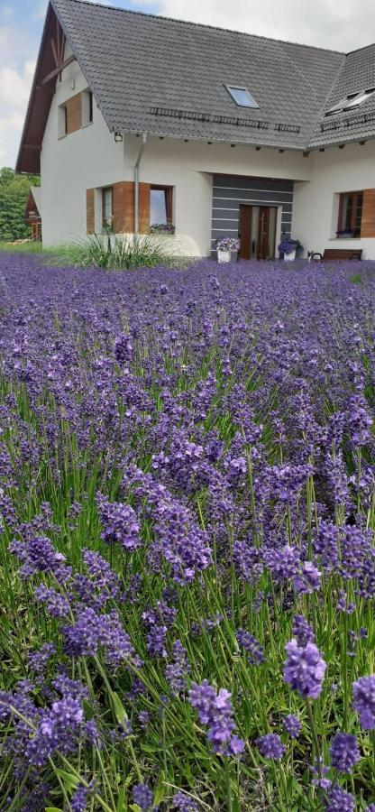 Agroturystyka Aura Kostrzyca Extérieur photo