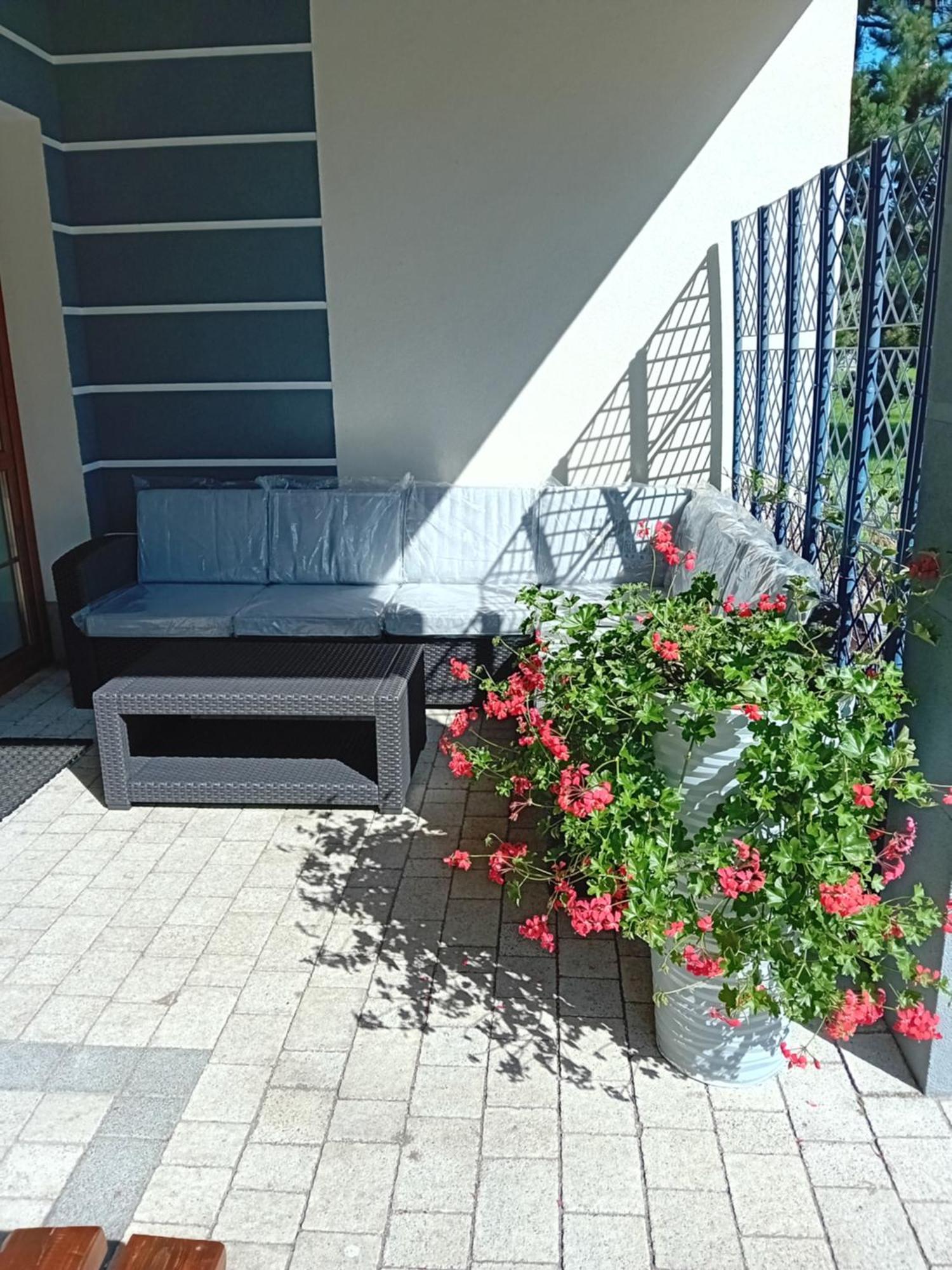 Agroturystyka Aura Kostrzyca Extérieur photo