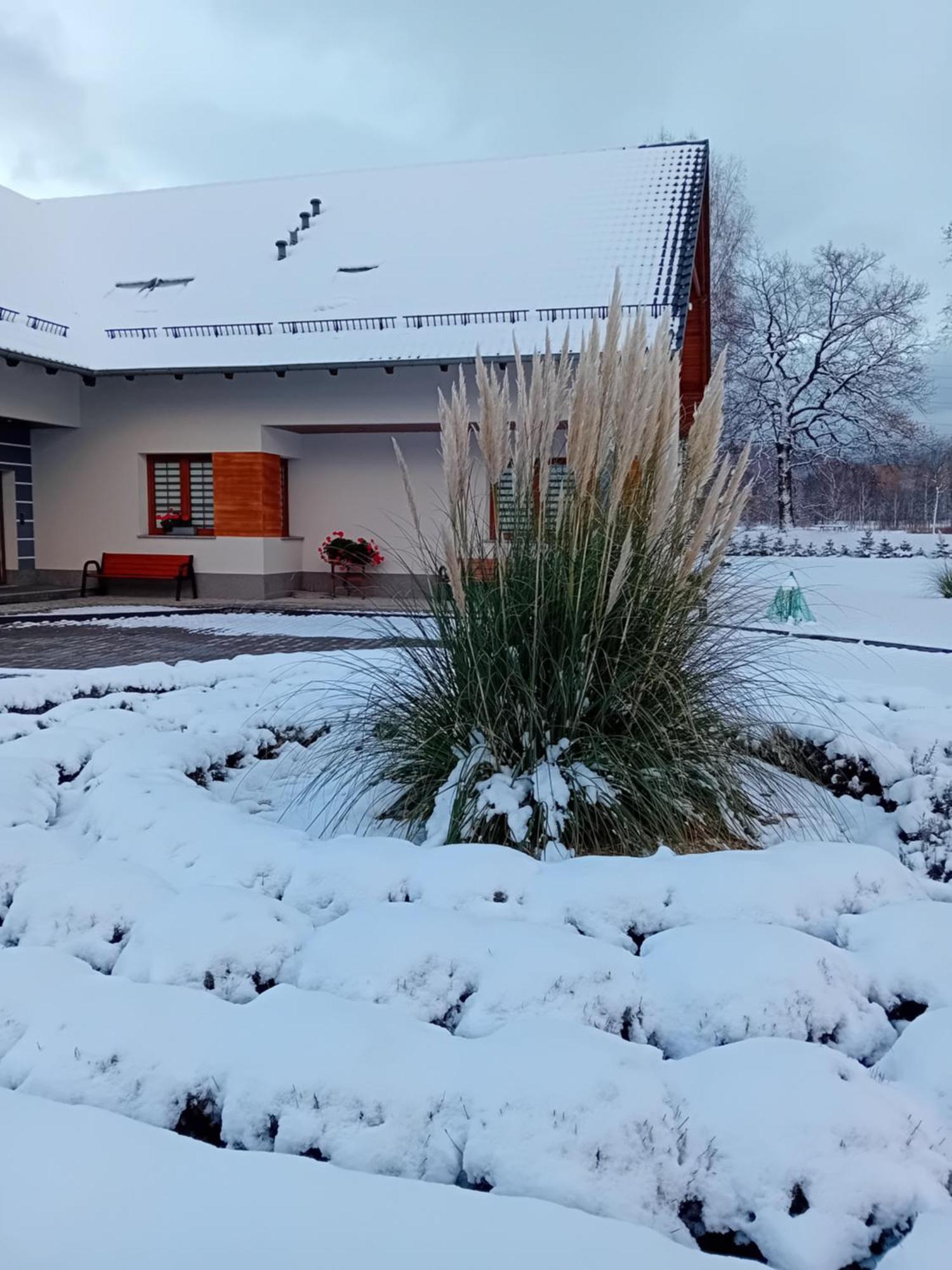 Agroturystyka Aura Kostrzyca Extérieur photo