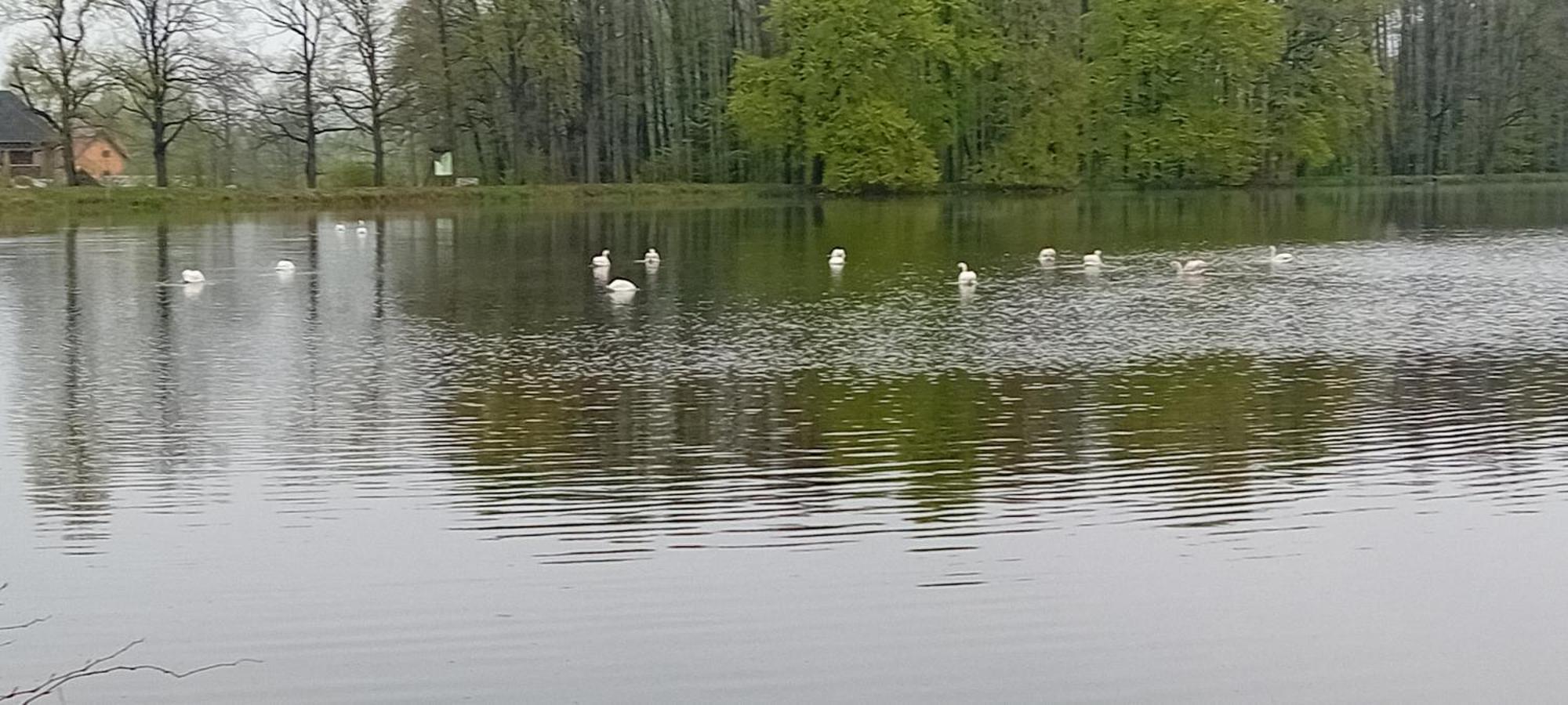 Agroturystyka Aura Kostrzyca Extérieur photo